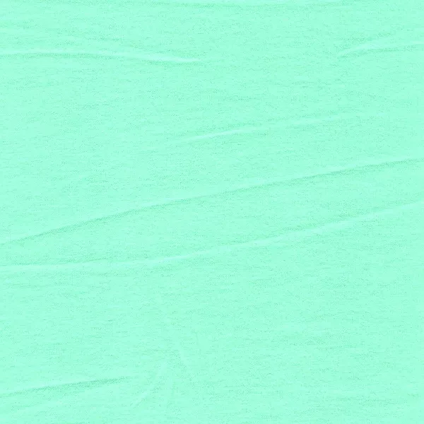 20 YD Bolt-Mint Cotton Flannel Fabric
