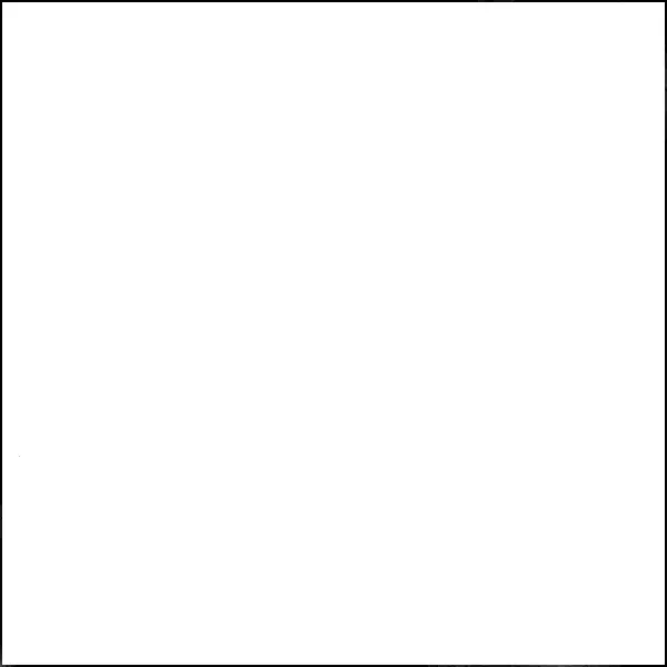 20 YD Bolt-White Broadcloth Fabric
