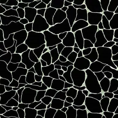 6439114 Covington DARE 947 NOIR Embroidered Drapery Fabric