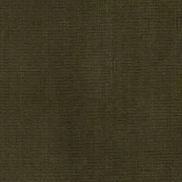 6465913 Richloom Fortress Home AKIKO FRT MOSS Solid Color Upholstery And Drapery Fabric