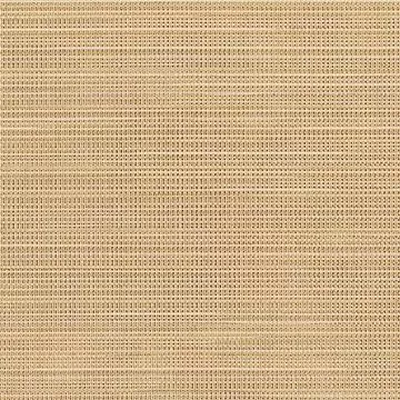 6982812 Sunbrella Sling 50078-0006 DESTINY SAND Sling Furniture Upholstery Fabric
