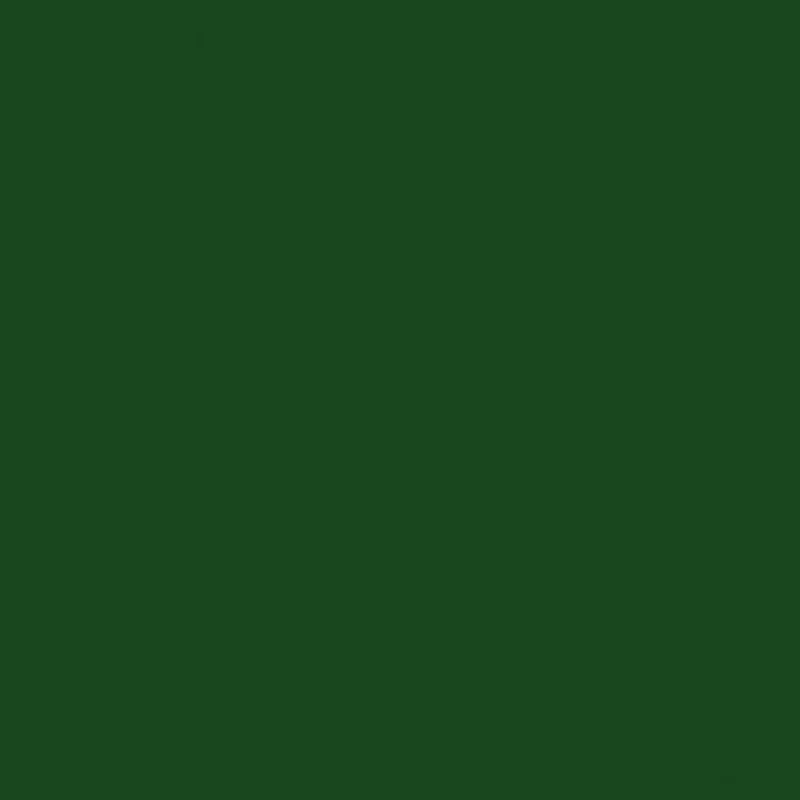 American Made Brand Solid Cotton - Forest