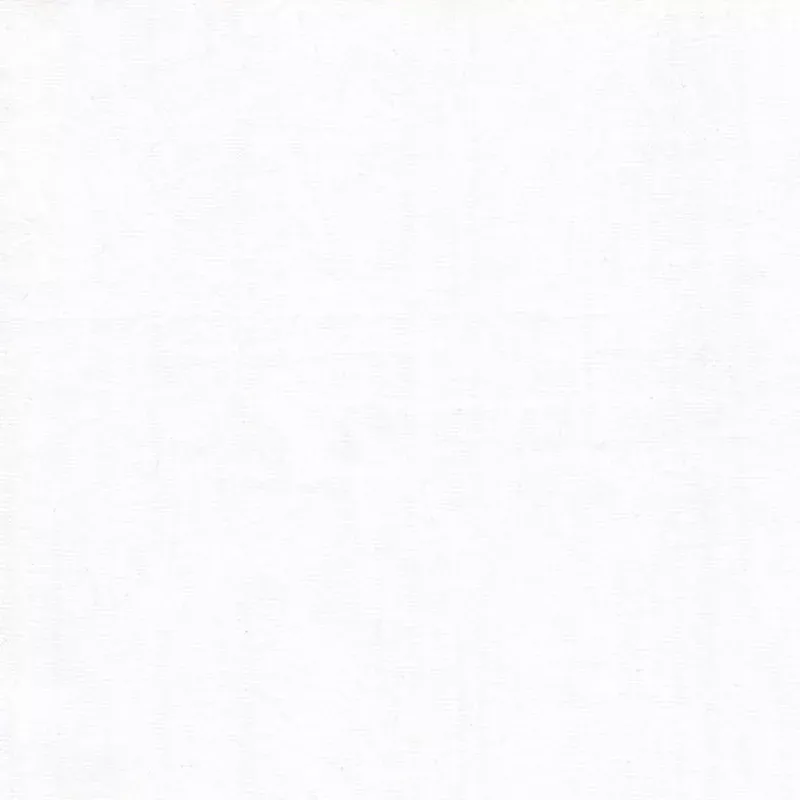 Artisan Cotton Another Point of View 40171-120 White/White Artisan Solid Cotton