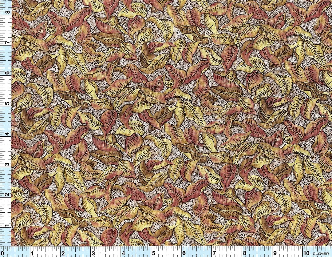 Autumn Winds STH#11222170