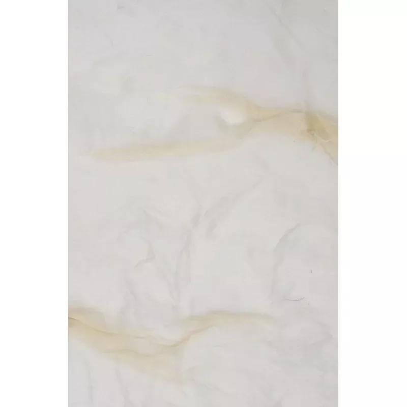 Banana Embroidered Organza Silk 143 Fabric