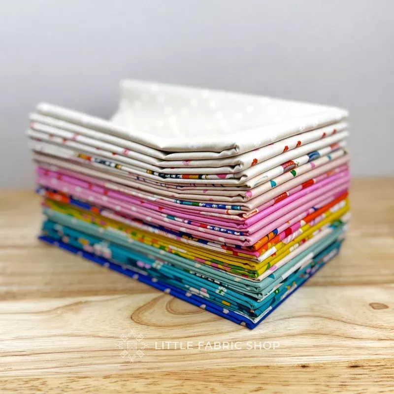 Best Day Ever | Ruby Star Society | Half Yard Bundle