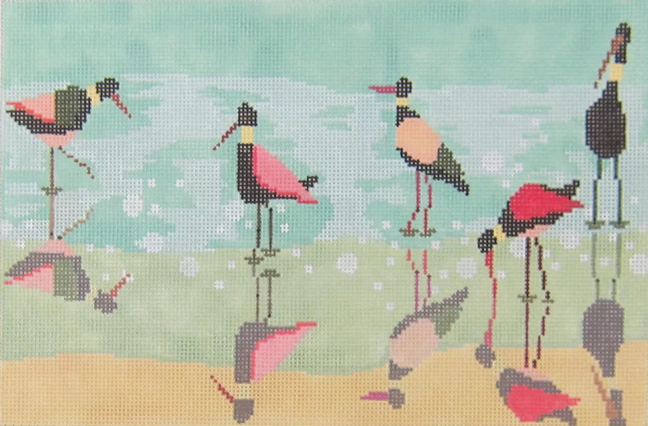 Birds of a Feather – Shorebirds
