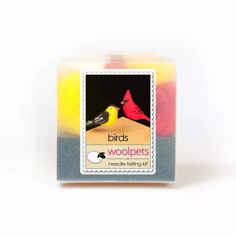 Birds Needle Felting Starter Kit