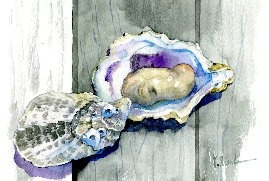The Collection Designs – On The Half Shell