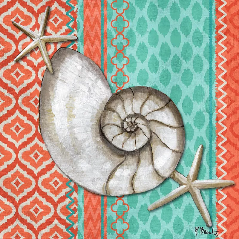 The Collection Designs – Santa Cruz Shells I Aqua