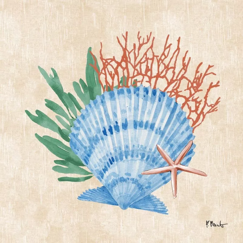 The Collection Designs – Woven Seal II
