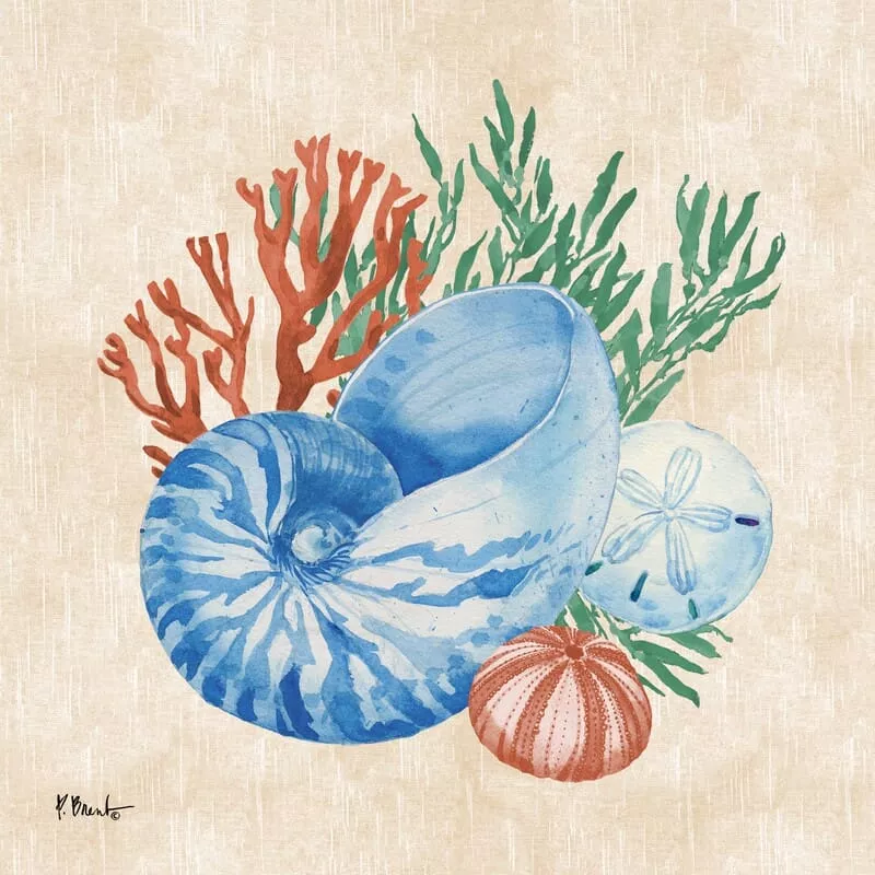 The Collection Designs – Woven Seal III