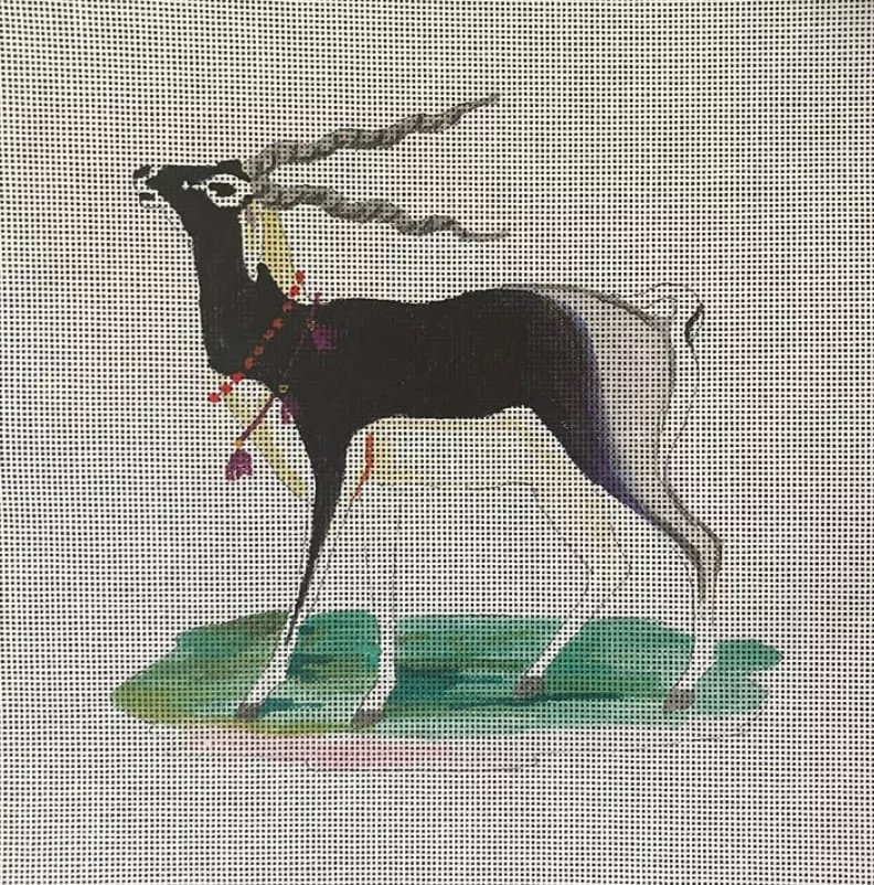 Colors of Praise – Black Antelope
