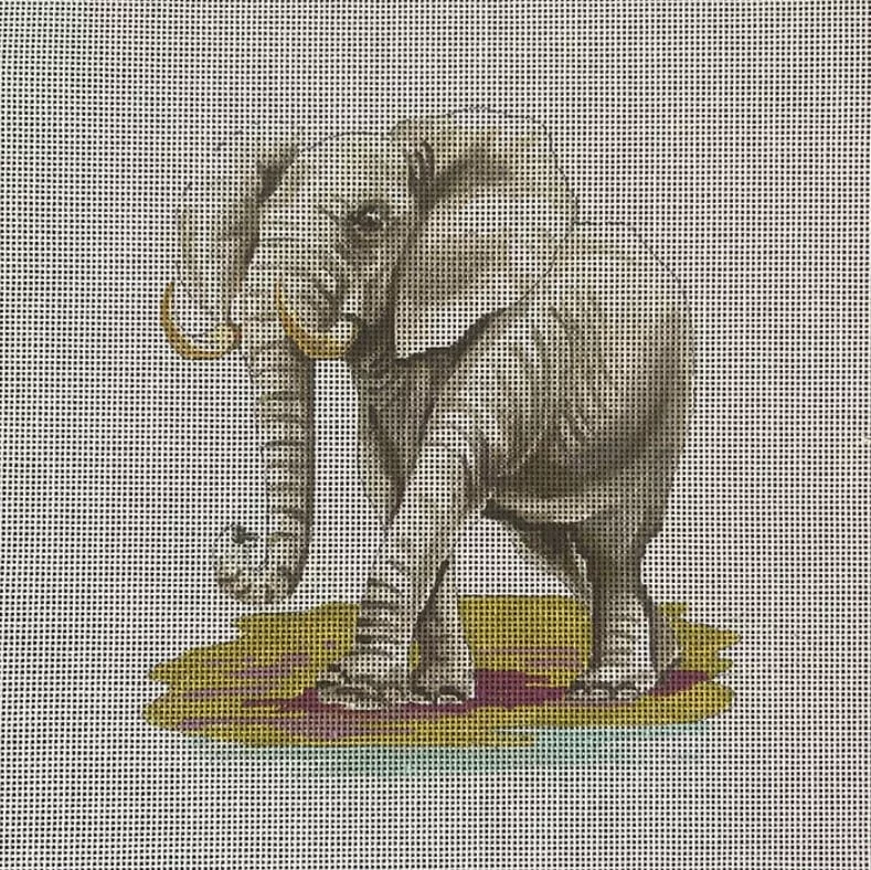 Colors of Praise – Elephant