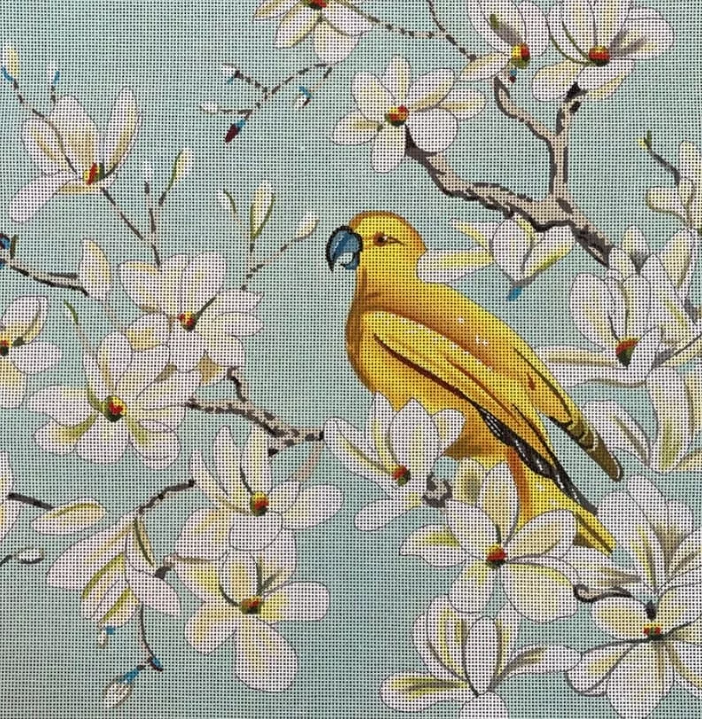 Colors of Praise – Peace and a Parrot