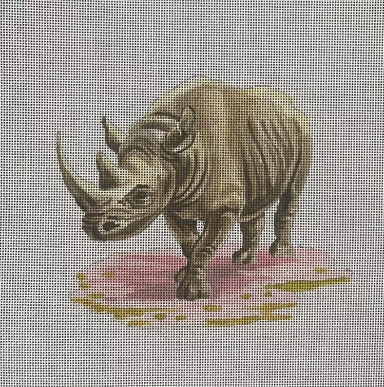 Colors of Praise – Rhino