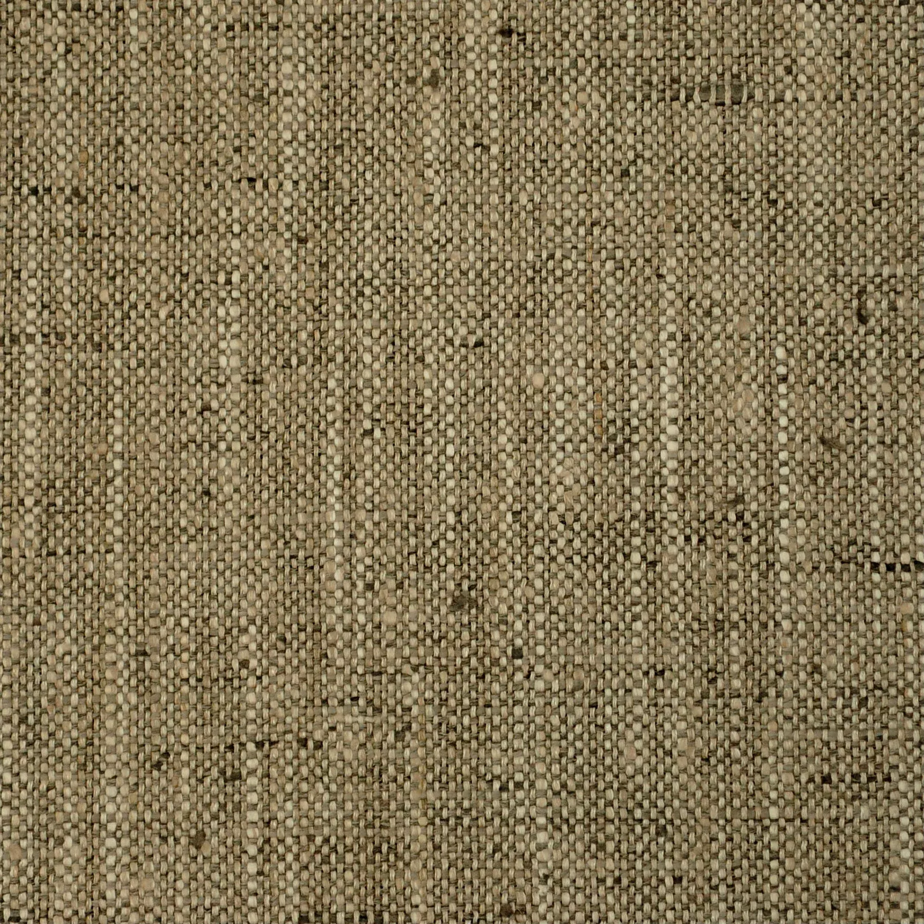 Cortina - Walnut