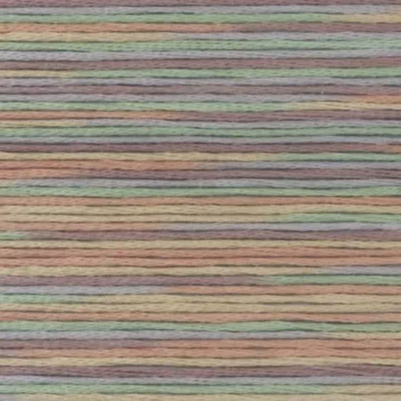 Cosmo Floss 169