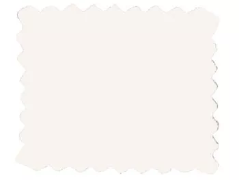 Cotton Flannel Solid - White