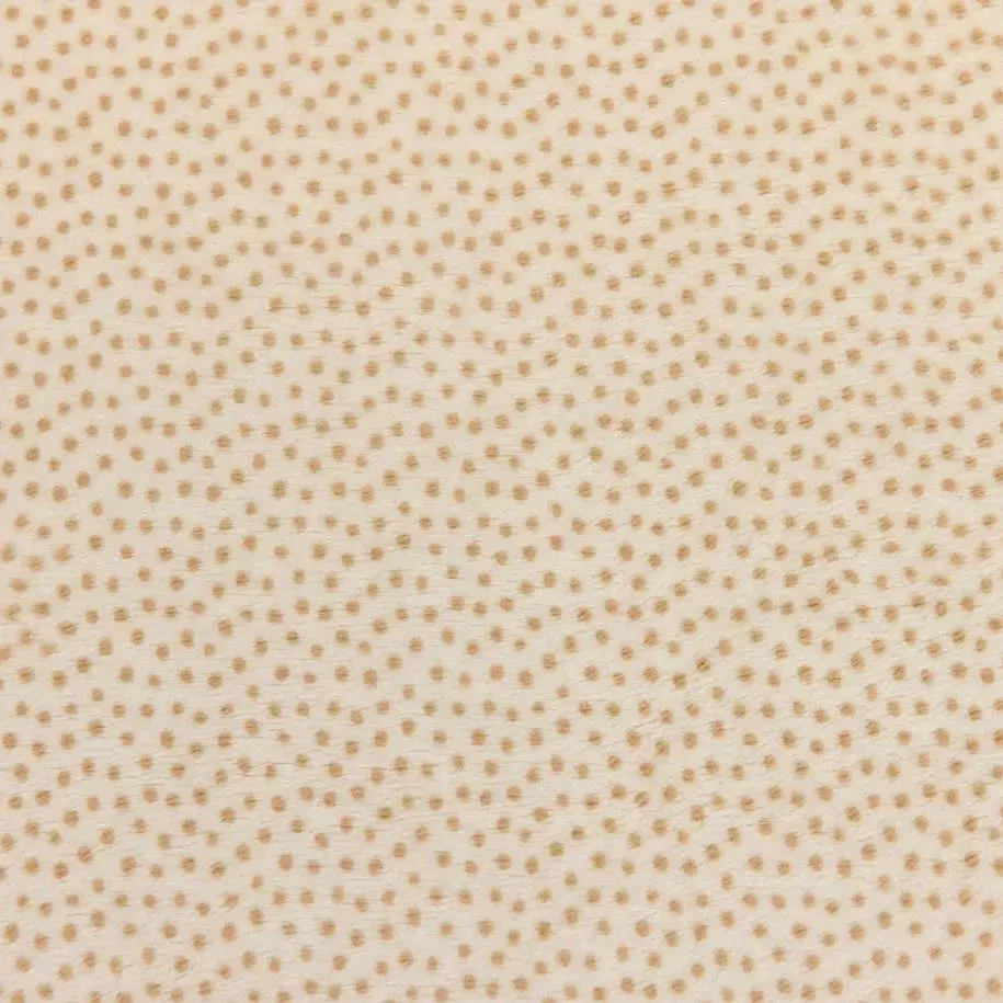 Cream Extra Wide Dottie Cuddle Sand Fabric per yard