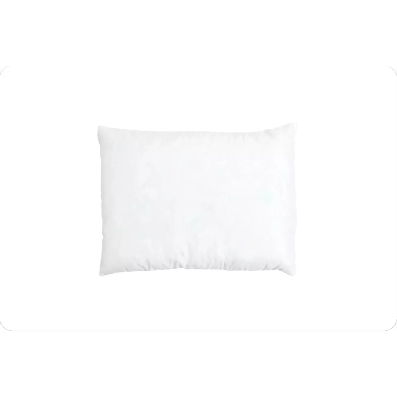 Cuddle Dreamzzz 12X16 Pillow Form