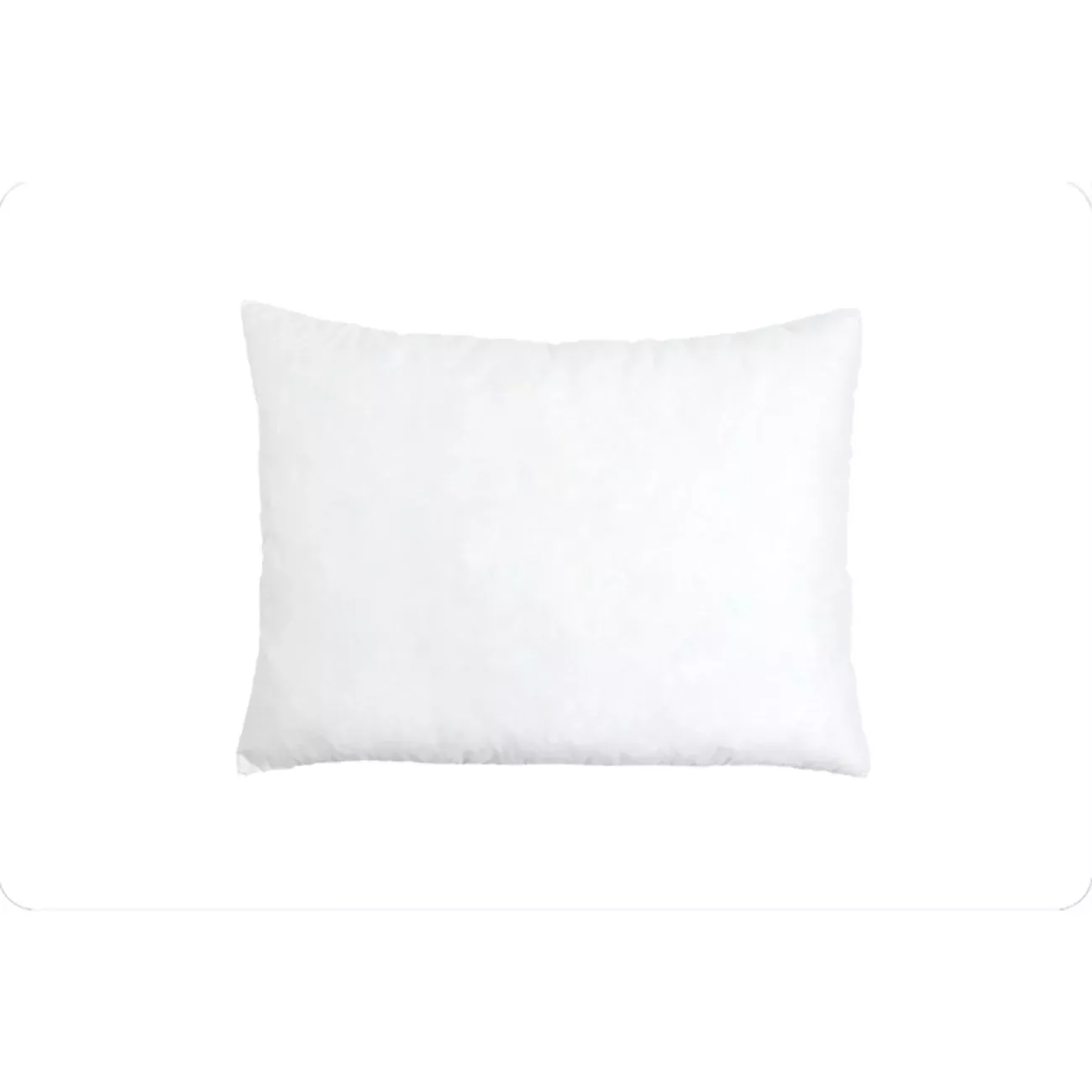 Cuddle Dreamzzz 20X26 Pillow Form Standard