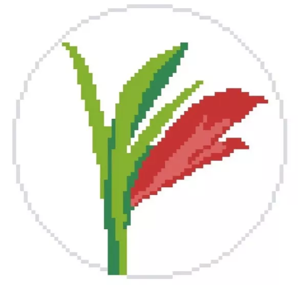Elizabeth Crane Swartz – Amaryllis Ornament