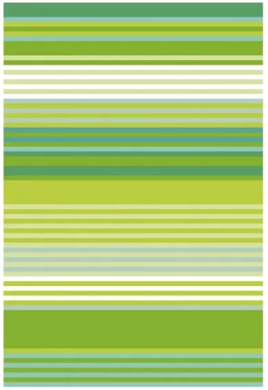 Elizabeth Crane Swartz – Libby Stripes Passport Cover