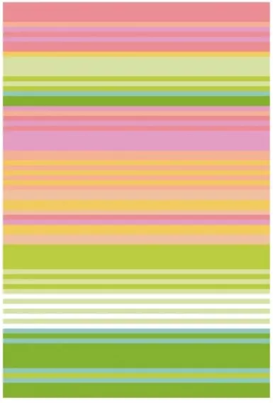 Elizabeth Crane Swartz – Mimi Stripes Passport Cover