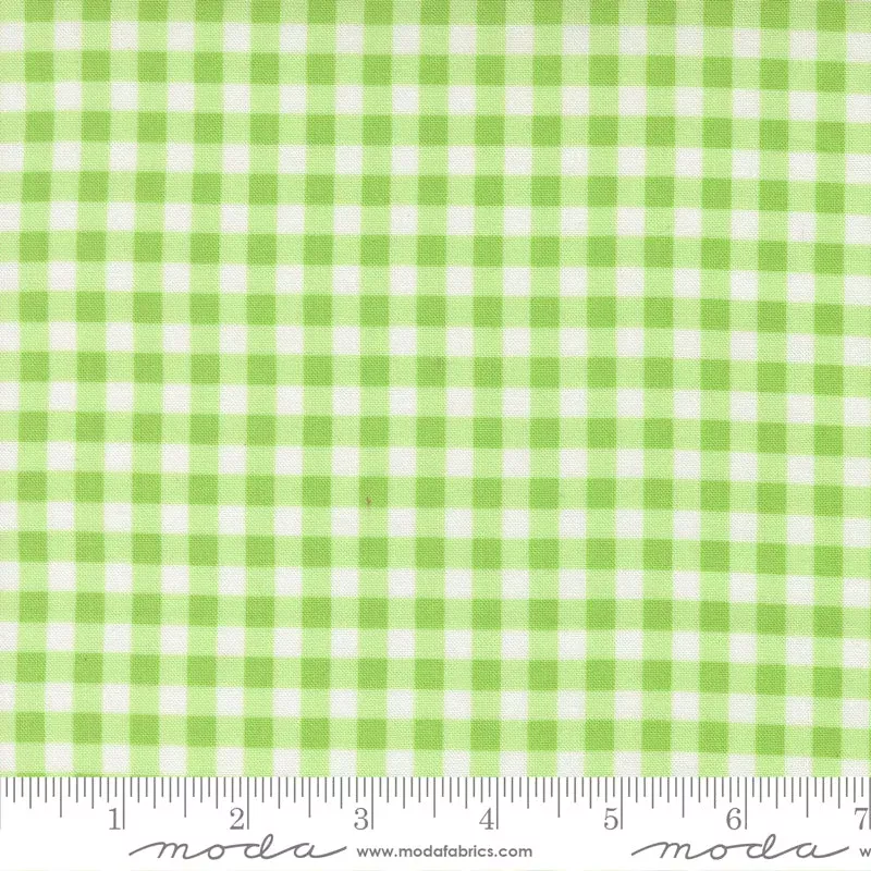 Fruit Salad Lime Gingham Yardage by Corey Yoder for Moda Fabrics