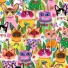 Funny Felines
