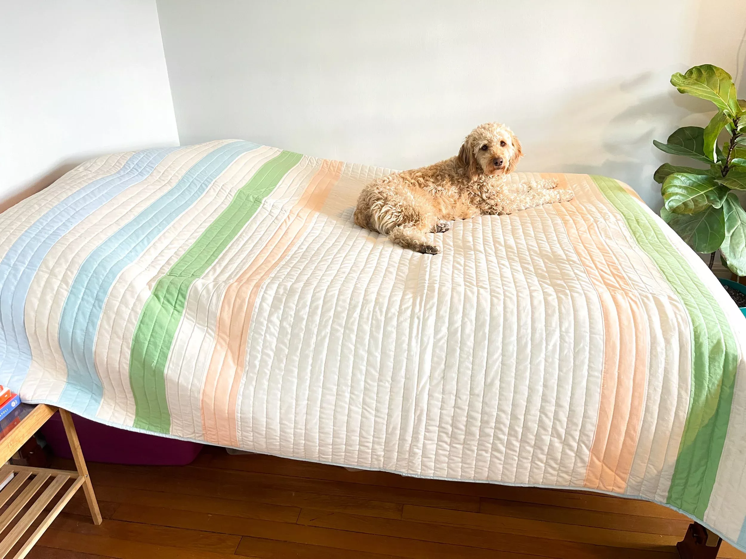 Hudson Bay Style Quilt