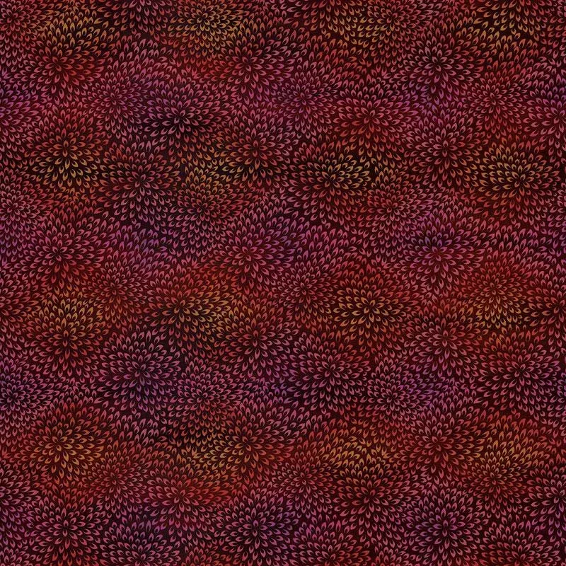 In the Beginning Vivid 9VIV 4 Dark Spice