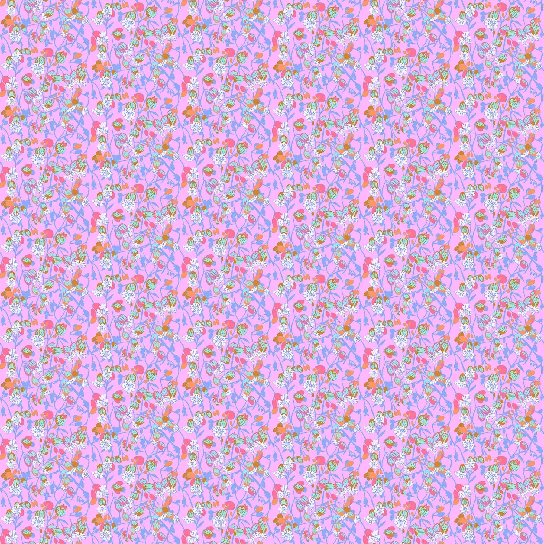 Jumpstart Silene in Periwinkle