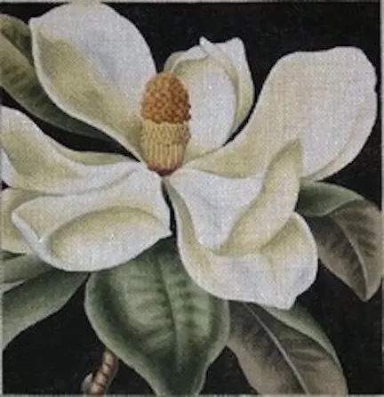 Kirk & Bradley – Southern Magnolia