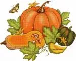 Melissa Shirley Pumpkins & Squash