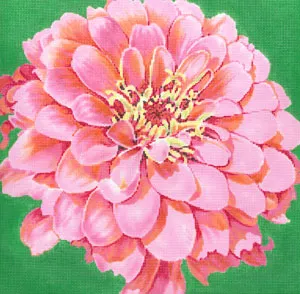 The Meredith Collection – Cosmopolitan Zinnia/Green Background