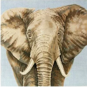 The Meredith Collection – Elephant