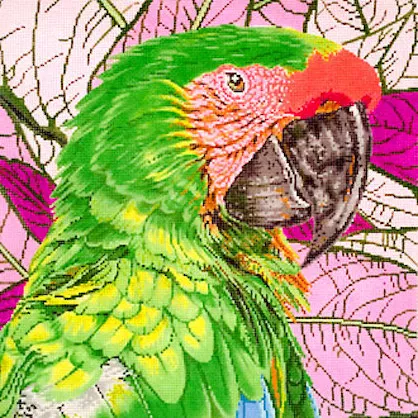 The Meredith Collection – Great Green Macaw