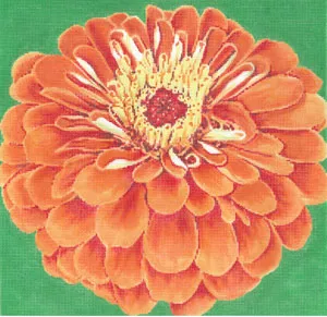 The Meredith Collection – Orange Zinnia/Green Background