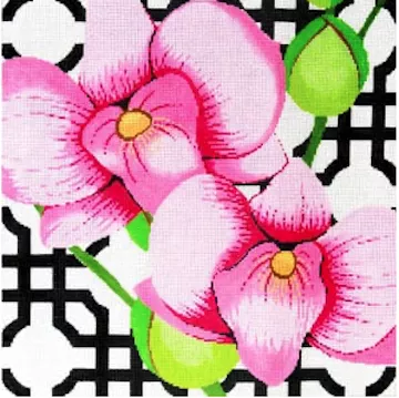 The Meredith Collection – Pink Orchid on Black