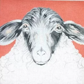 The Meredith Collection – Sheep