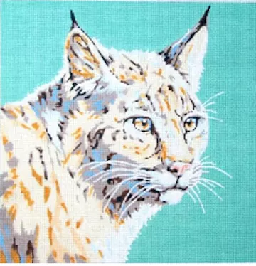 The Meredith Collection – Wildcat