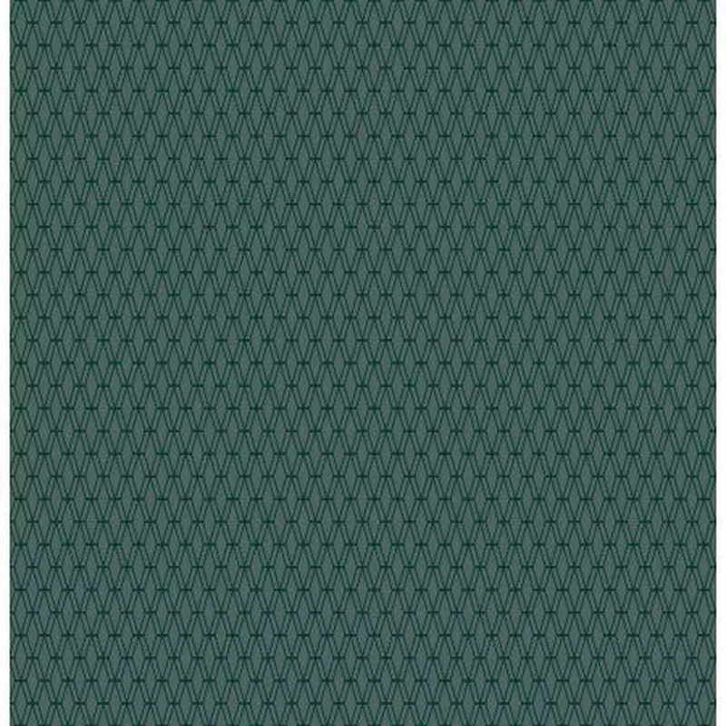 Mishmesh – Nori Fabric | Cotton + Steel Basics