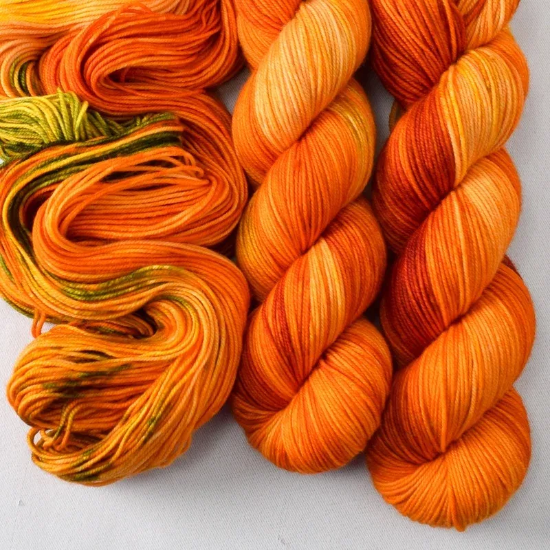 Nasturtiums – Laurel Falls – Babette