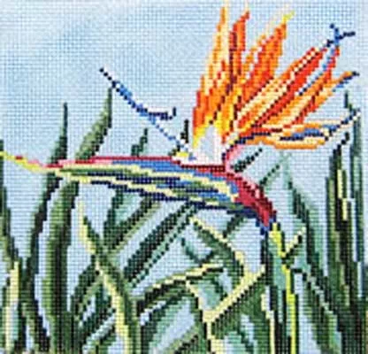 Needle Crossings – Bird of Paradise