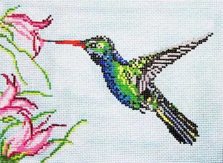 Needle Crossings – Broad Billed Hummingbird