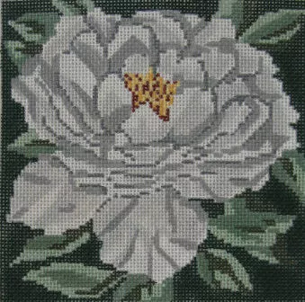 Needle Crossings – White Tree Peony