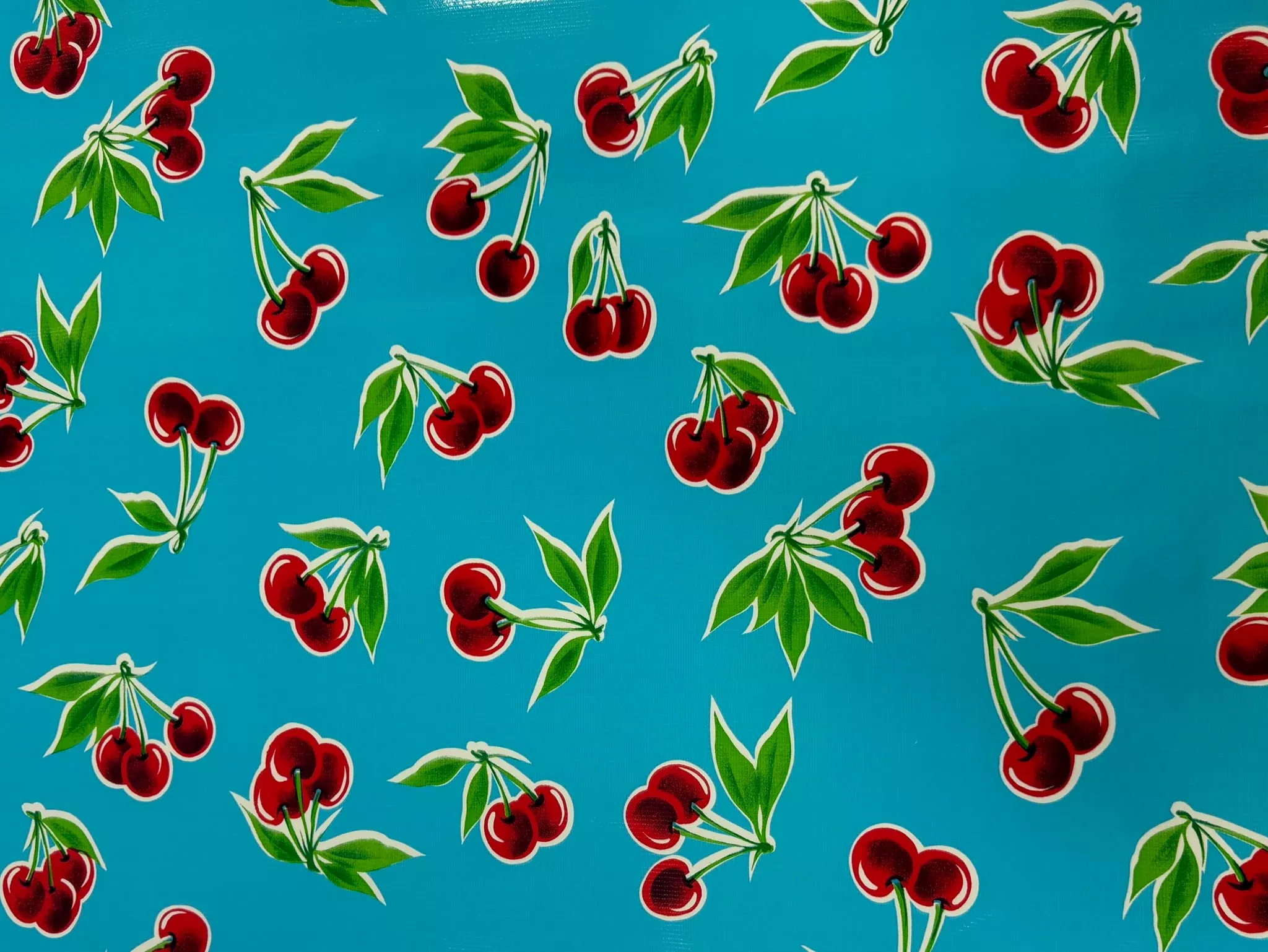 Oilcloth - Stella - Aqua