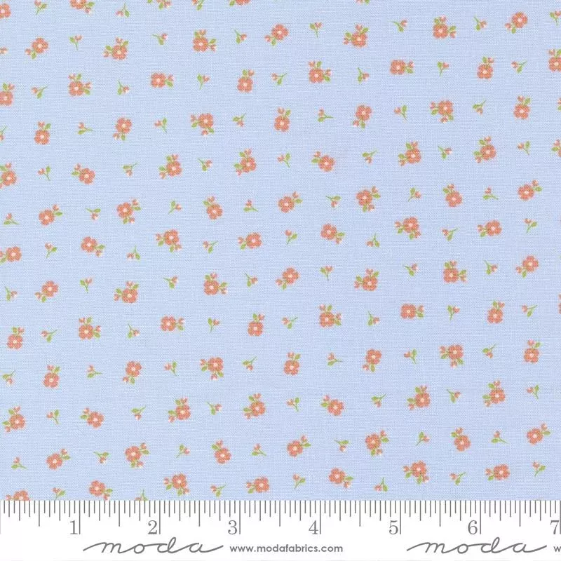Peachy Keen Light Blue